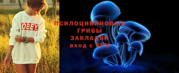 амф Абдулино