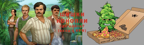 ПСИЛОЦИБИНОВЫЕ ГРИБЫ Алексеевка