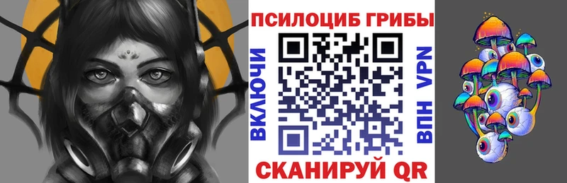 цены   Александров  Псилоцибиновые грибы ЛСД 